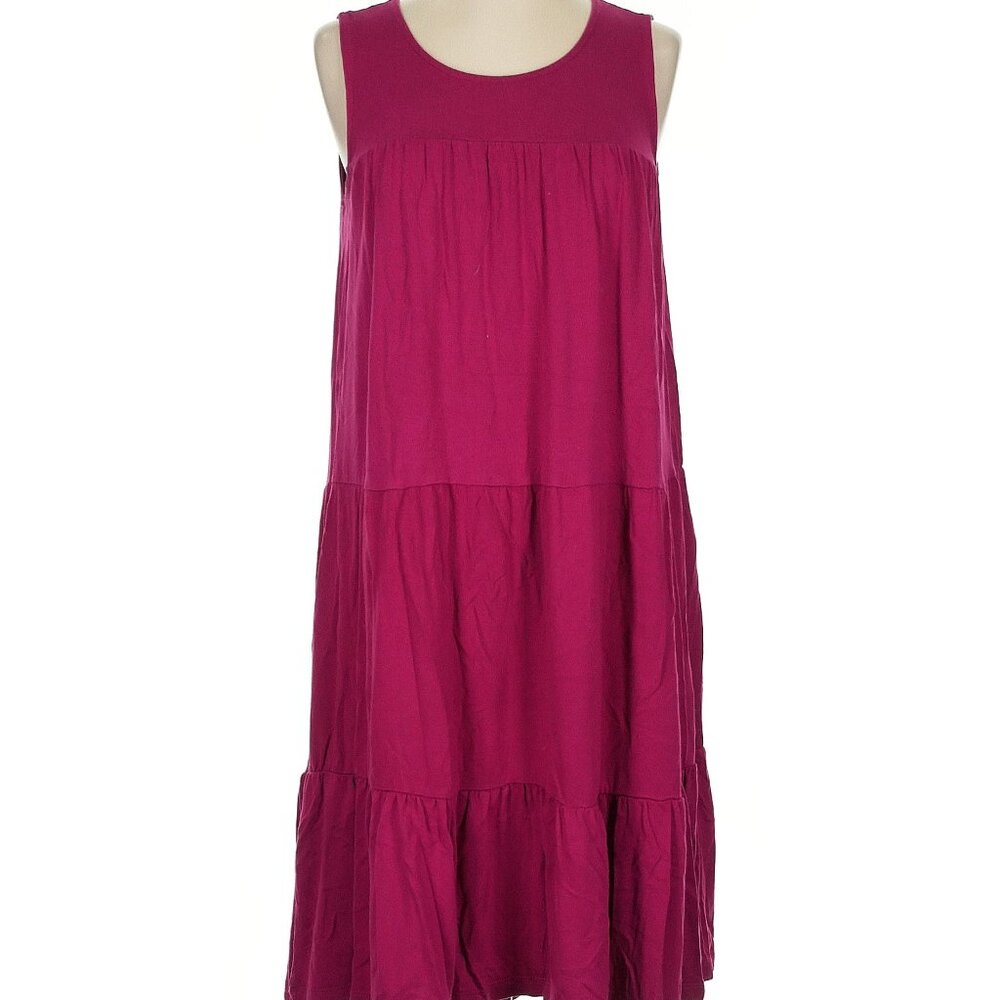 Anthro Saturday Sunday XS hot pink magenta sleeveless drop waist solid dress